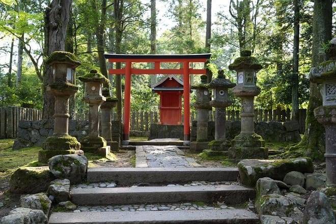 Nara Early Morning Tour (Kyoto or Osaka Departure Available)