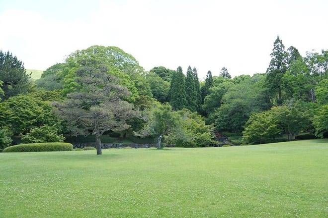 Nara Early Morning Tour (Kyoto or Osaka Departure Available)
