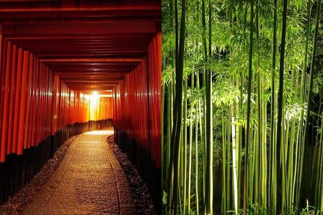 Kyoto Fushimi-Inari and Arashiyama Night Walking Tour