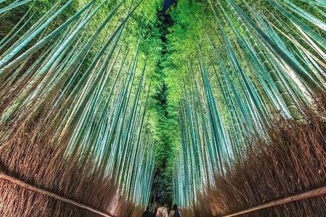 Kyoto Fushimi-Inari and Arashiyama Night Walking Tour